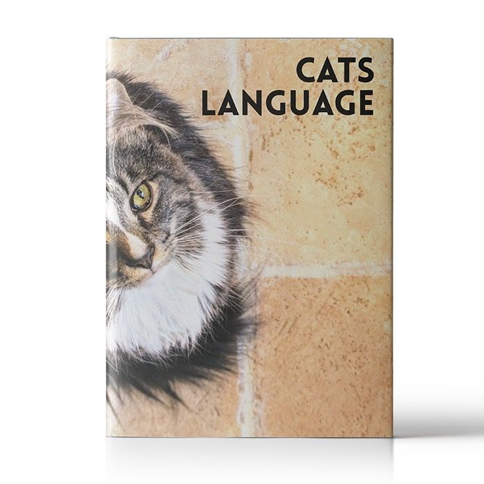 Cats Language